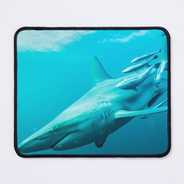 Item preview, Shark designed and sold by CreativeWorld96.