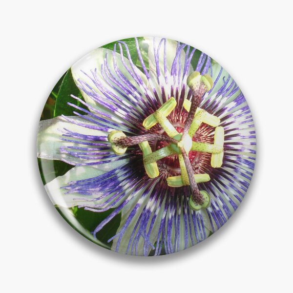 Item preview, Passiflora Against Green Foliage In A Garden designed and sold by taiche.