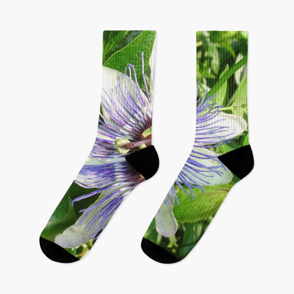 Item preview, Passiflora Against Green Foliage In A Garden designed and sold by taiche.