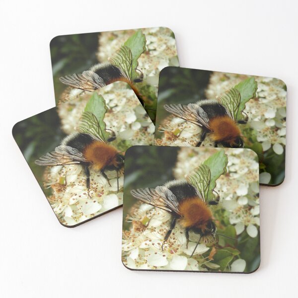 Item preview, Busy Bee designed and sold by Fay Freshwater.