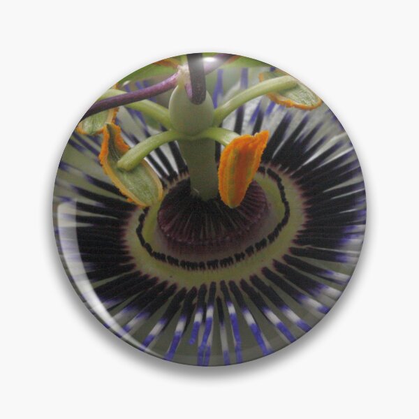 Item preview, Front View of Beautiful Passiflora Flower designed and sold by taiche.