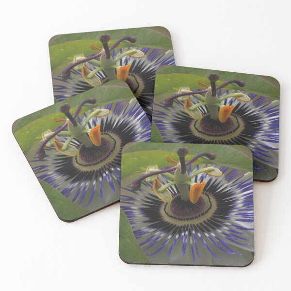 Item preview, Front View of Beautiful Passiflora Flower designed and sold by taiche.