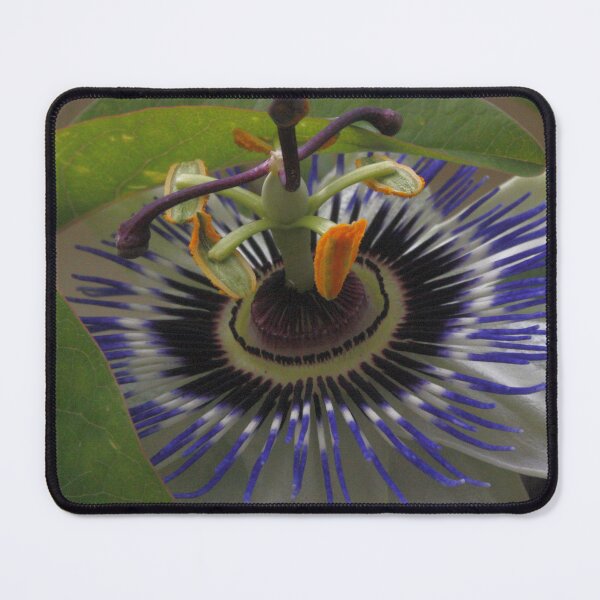 Item preview, Front View of Beautiful Passiflora Flower designed and sold by taiche.
