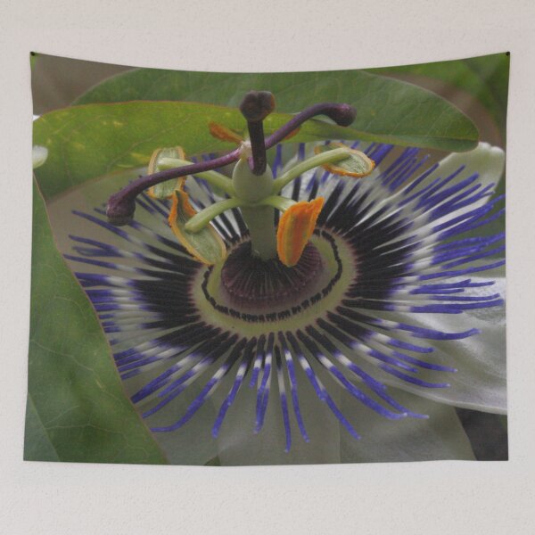 Item preview, Front View of Beautiful Passiflora Flower designed and sold by taiche.