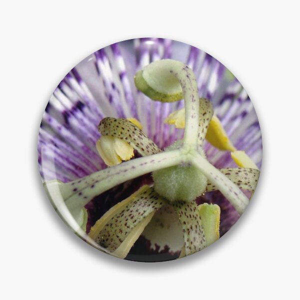Item preview, Purple Passion Flower Close Up designed and sold by taiche.