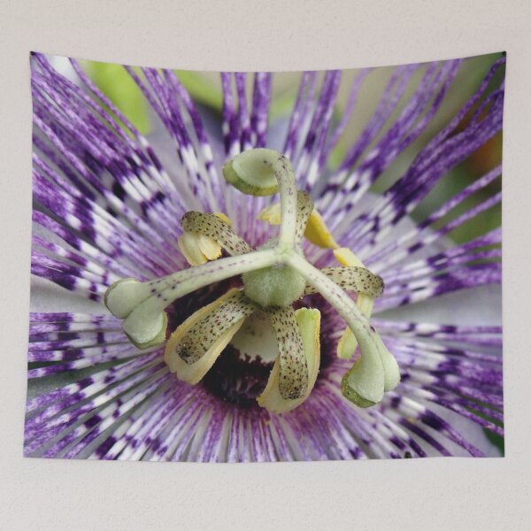 Item preview, Purple Passion Flower Close Up designed and sold by taiche.