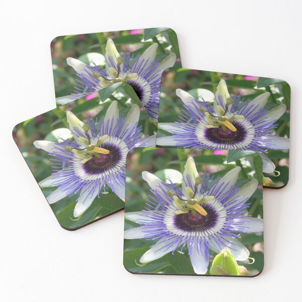 Item preview, Tropical Passiflora Garden designed and sold by taiche.
