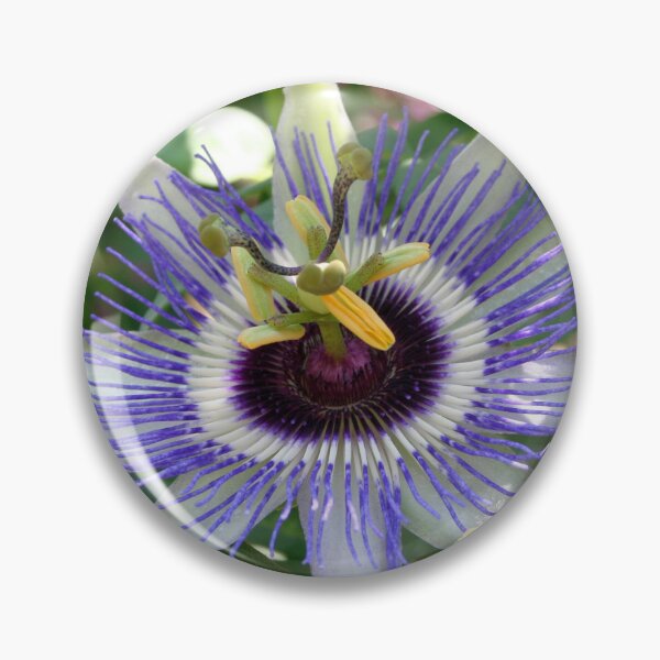 Item preview, Tropical Passiflora Garden designed and sold by taiche.