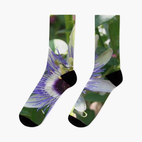 Item preview, Tropical Passiflora Garden designed and sold by taiche.