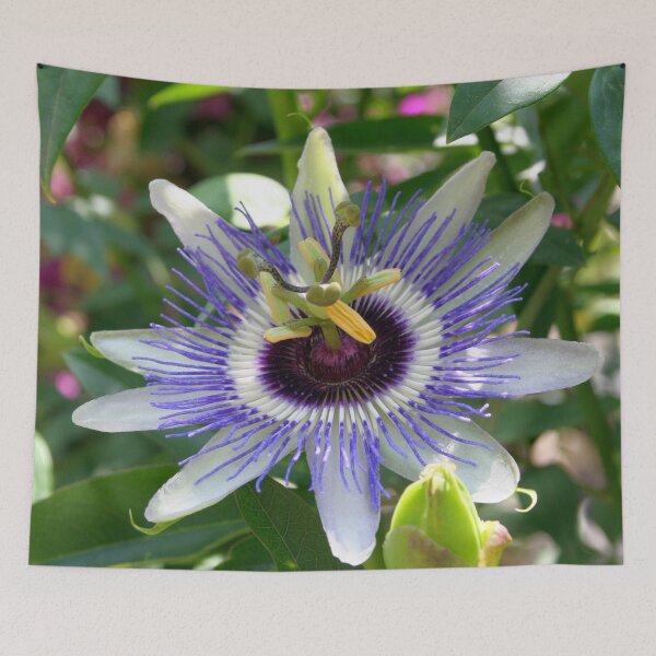 Item preview, Tropical Passiflora Garden designed and sold by taiche.