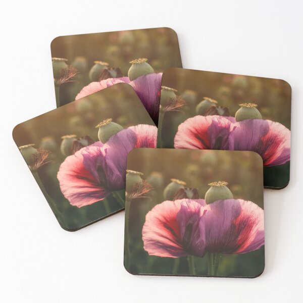 Item preview, Papaver somniferum or opium poppy flowering plant designed and sold by stevanovicigor.