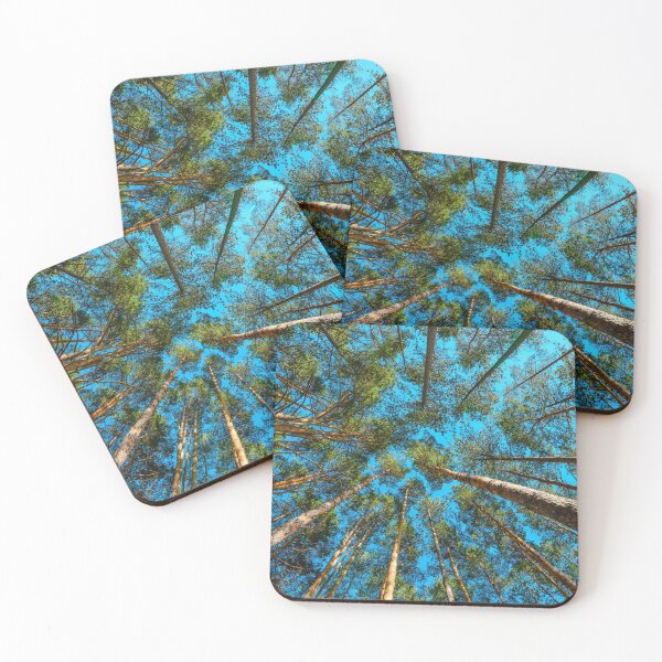 Item preview, Low angle view of tall pine tree woodland in summer designed and sold by stevanovicigor.