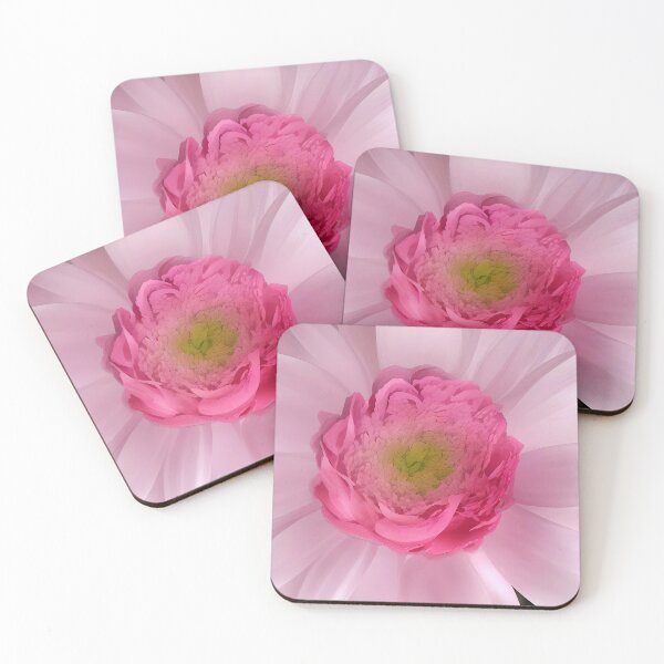 Item preview, Pink Gerbera Close up designed and sold by Jasna Dragun.
