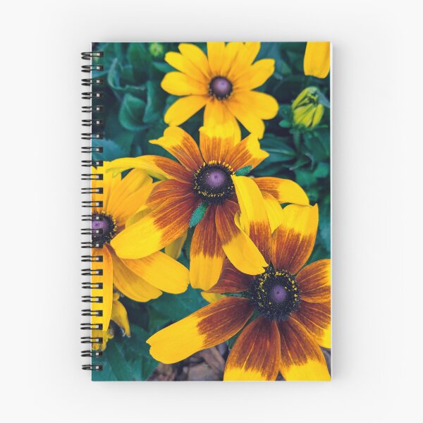 Item preview, Rudbeckias at the Pollinator Garden designed and sold by taiguey.