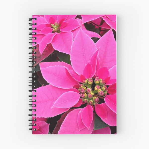 Item preview, Poinsettia designed and sold by MimiHillier.