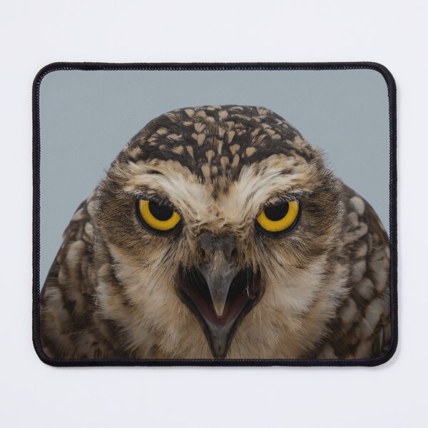 Item preview, Burrowing Owl designed and sold by Ariel-Wildlife.