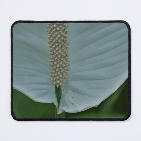 Item preview, Spathiphyllum designed and sold by AGODIPhoto.