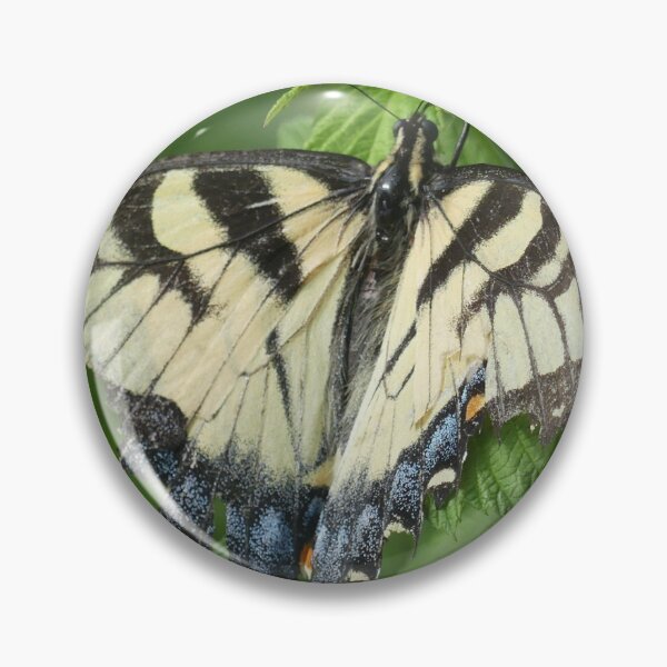 Item preview, Eastern Tiger Swallowtail designed and sold by JaimeWinchester.