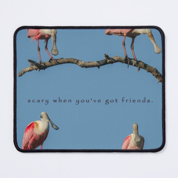 Item preview, Friends designed and sold by Texas Enfocus Photography.