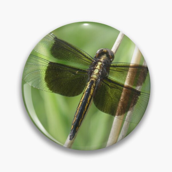 Item preview, Widow Skimmer Dragonfly designed and sold by JaimeWinchester.