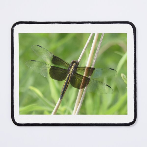 Item preview, Widow Skimmer Dragonfly designed and sold by JaimeWinchester.
