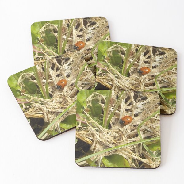 Item preview, A Ladybird On Dried Grass designed and sold by lezvee.