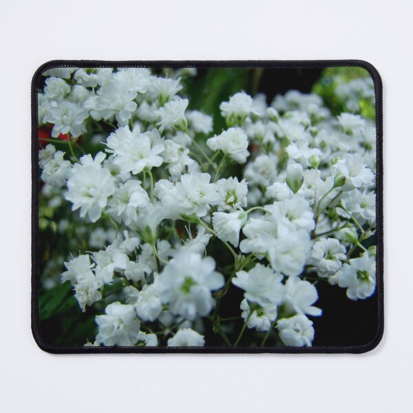 Item preview, Baby's Breath designed and sold by AGODIPhoto.