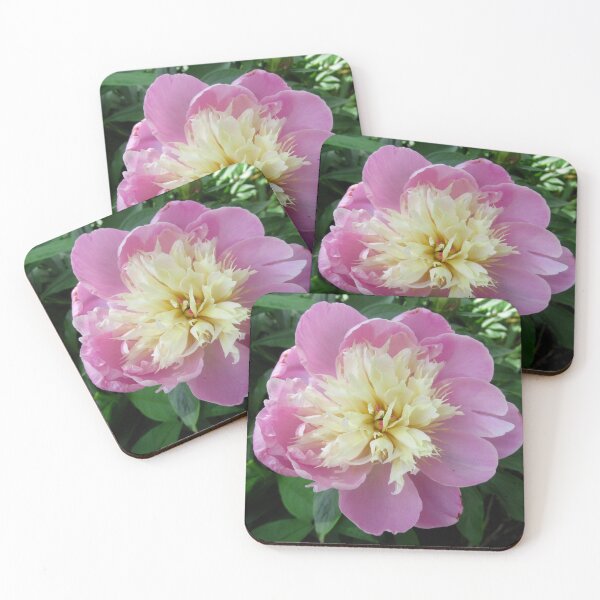 Item preview, Pink Peony designed and sold by collageDP.