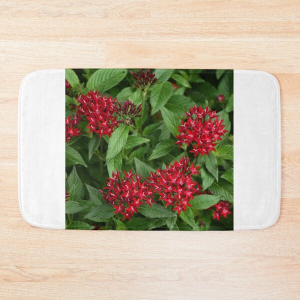 Item preview, Red Pentas Lanceolata designed and sold by MercerImages.