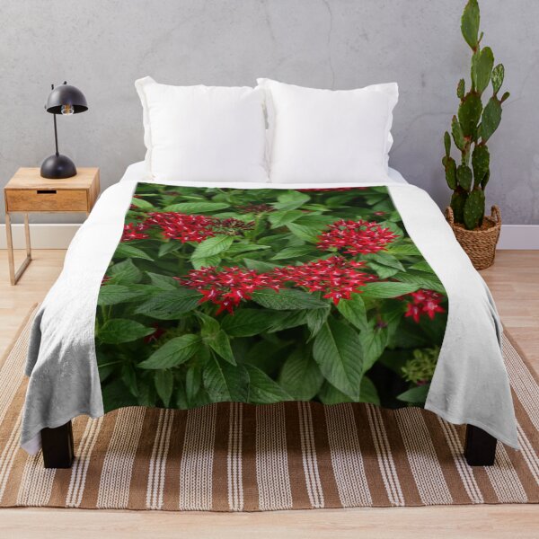 Item preview, Red Pentas Lanceolata designed and sold by MercerImages.