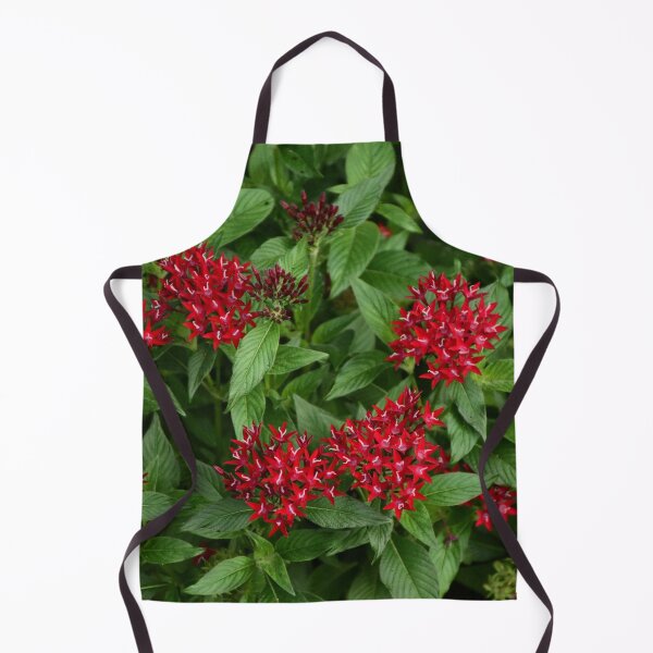 Item preview, Red Pentas Lanceolata designed and sold by MercerImages.