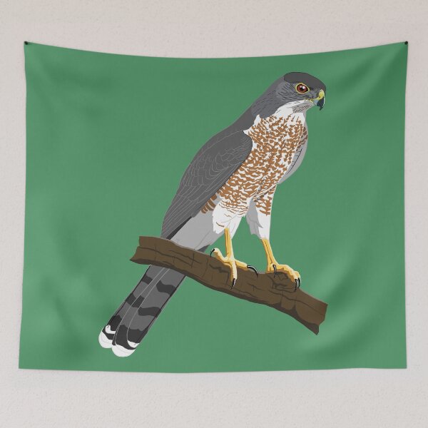 Item preview, Cooper's Hawk designed and sold by BennuBirdy.