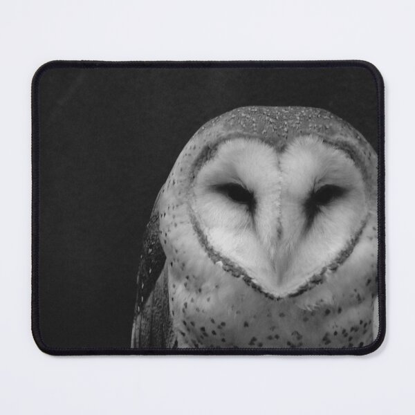 Item preview, Barn Owl designed and sold by AGODIPhoto.