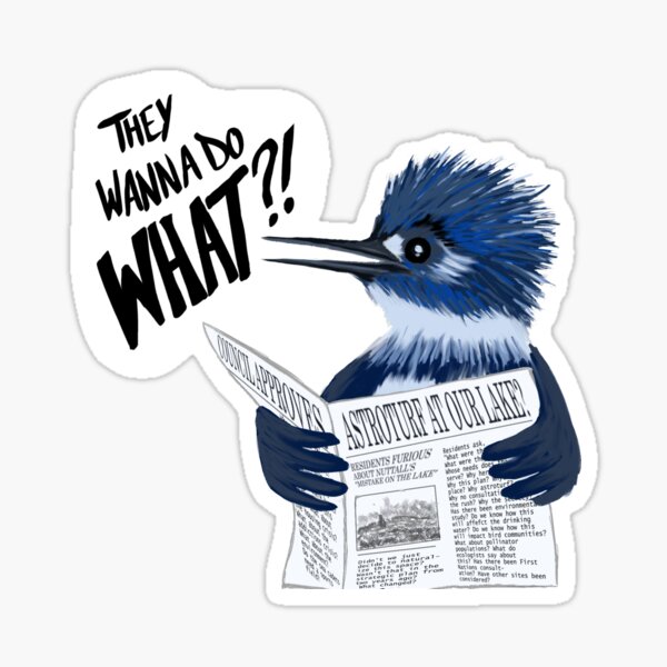 Save Allandale Station Park! Sticker
