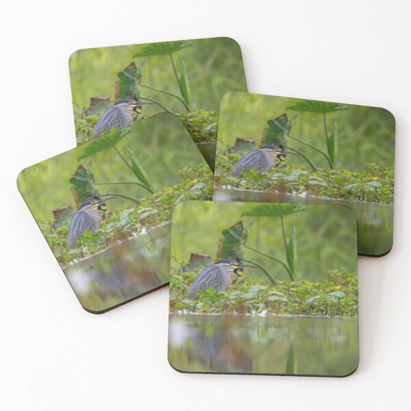 Item preview, Striated Heron  designed and sold by Ariel-Wildlife.