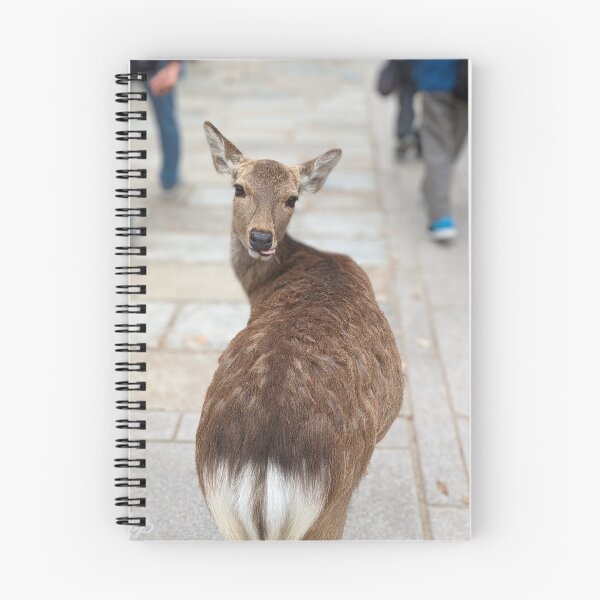 Item preview, Cheeky Deer, Nara designed and sold by WrightPhoto.