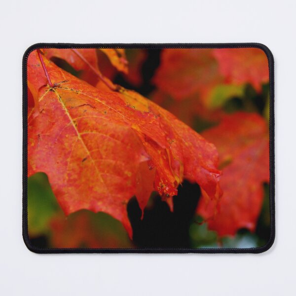 Item preview, All Leaves Must Fall designed and sold by AGODIPhoto.