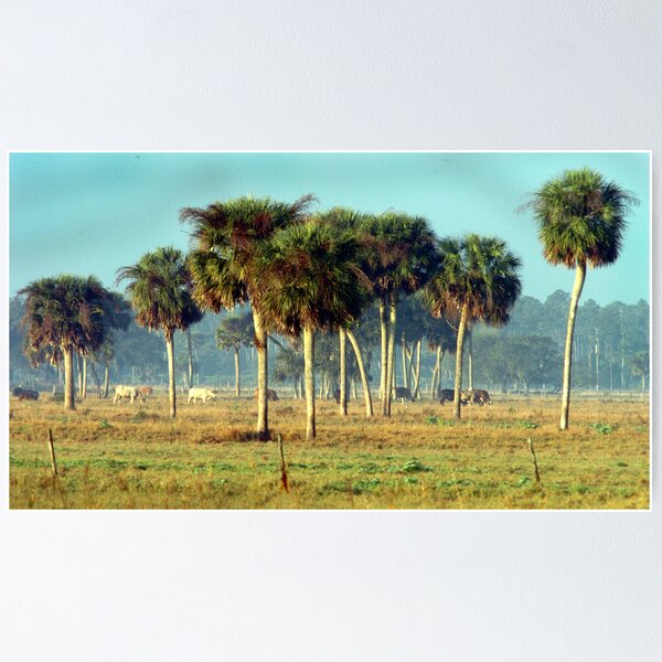 Item preview, Pasture of Palms designed and sold by Larry  Grayam.