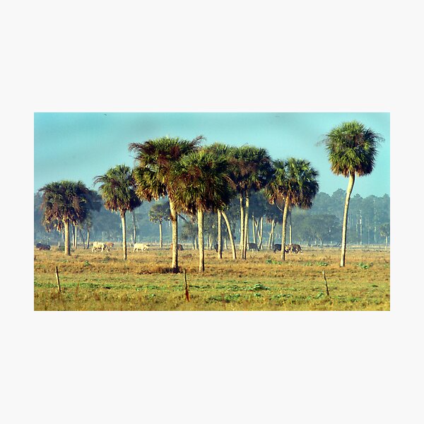 Item preview, Pasture of Palms designed and sold by Larry  Grayam.