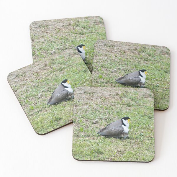 Item preview, Plover and chick designed and sold by beerman70.