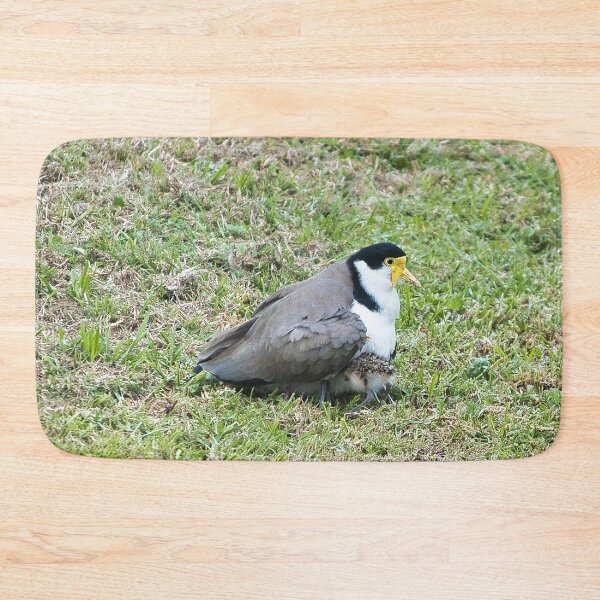 Item preview, Plover and chick designed and sold by beerman70.