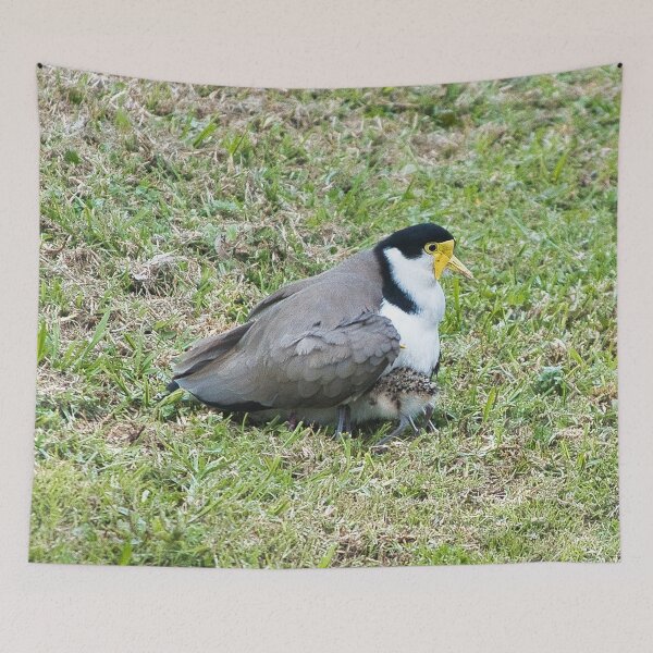Item preview, Plover and chick designed and sold by beerman70.