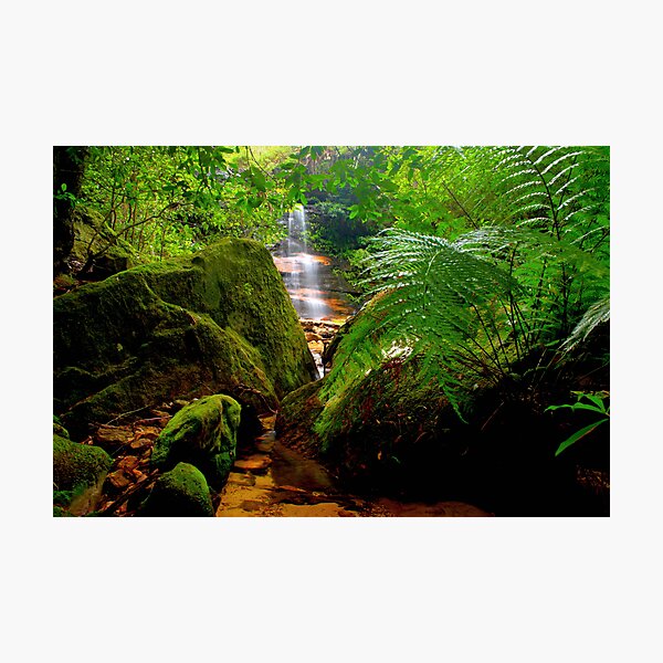Item preview, Lawson, New South Wales designed and sold by Andy Newman.