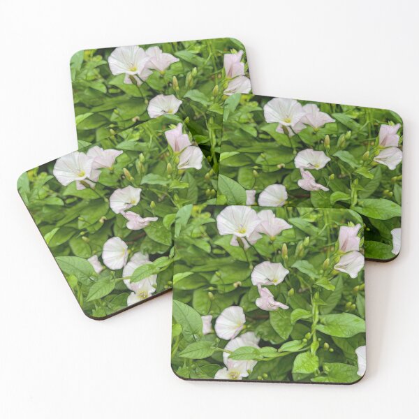 Item preview, Morning Glories designed and sold by bloomingvine.