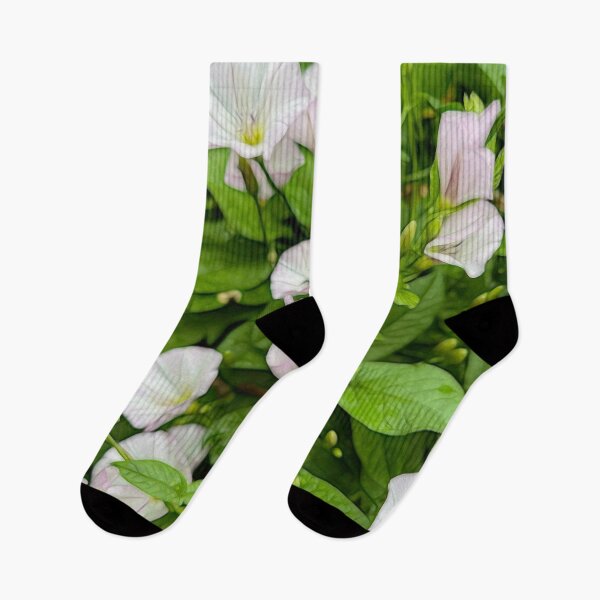 Item preview, Morning Glories designed and sold by bloomingvine.