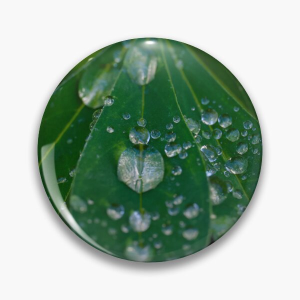 Artikelvorschau, Rain on Lupine leaves entworfen und verkauft von Cblifeisgood.