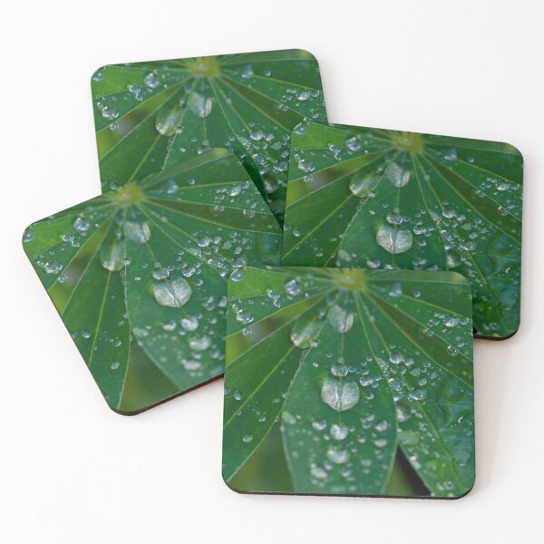 Artikelvorschau, Rain on Lupine leaves entworfen und verkauft von Cblifeisgood.