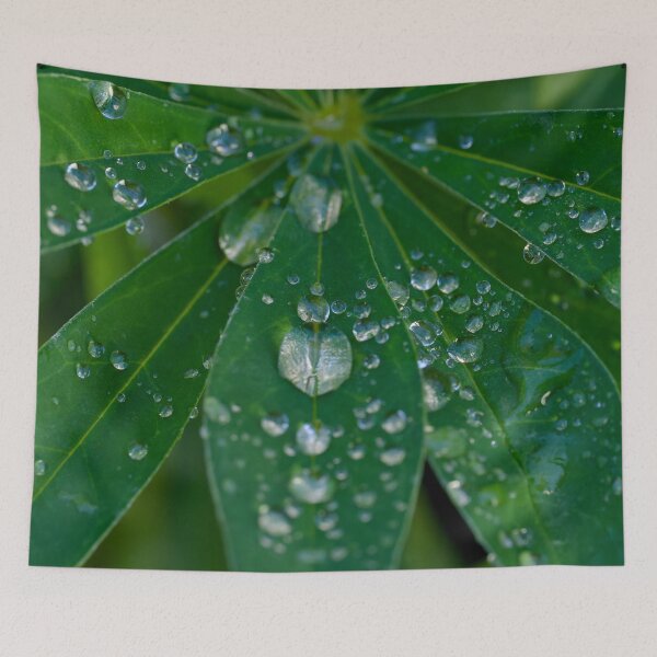 Item preview, Rain on Lupine leaves designed and sold by Cblifeisgood.