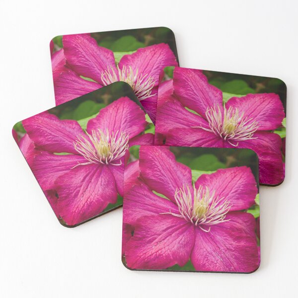 Item preview, Clematis Flower designed and sold by Cblifeisgood.