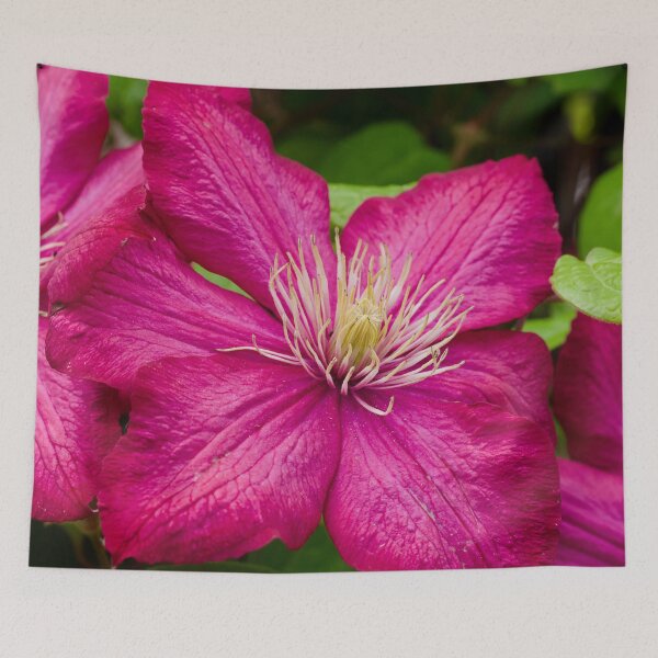 Item preview, Clematis Flower designed and sold by Cblifeisgood.